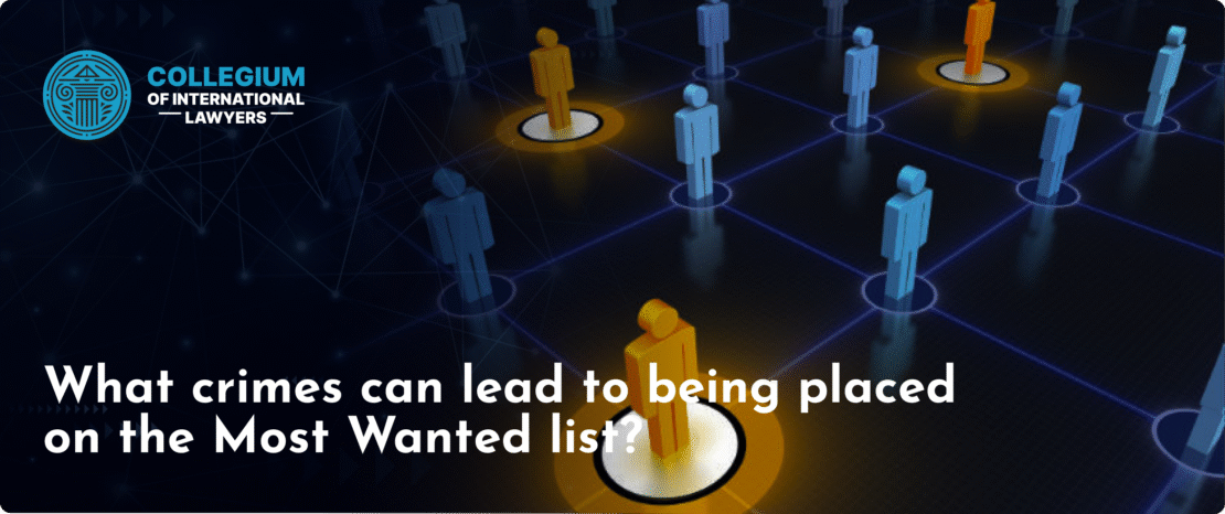 Legal Assistance for Navigating Interpol Alerts